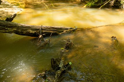 Ranch Property in Nacogdoches County, Texas