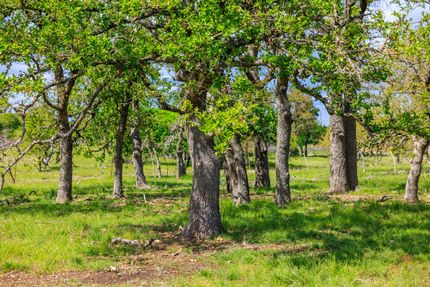 Recreational Property for sale in Gillespie County, Texas