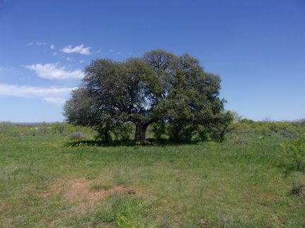 Property for sale in Llano County, Texas