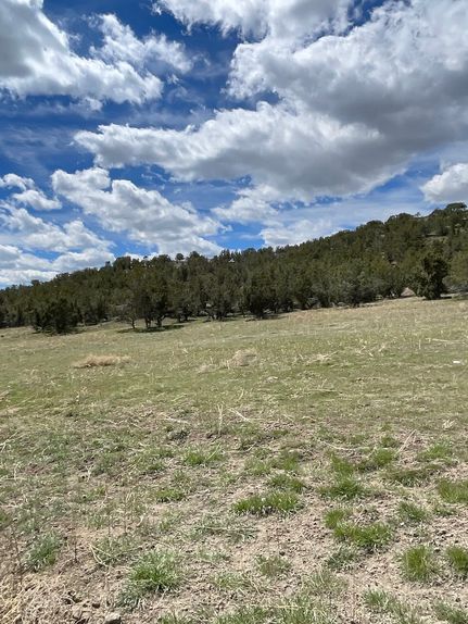 Farm Property in Sanpete County, Utah