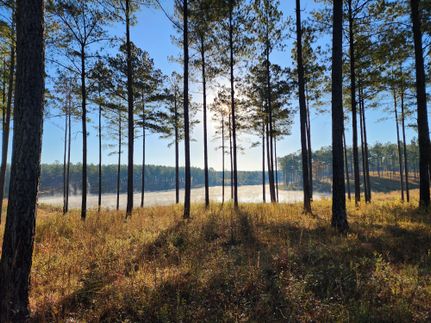 Property in Harris County, Georgia