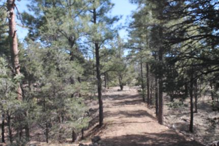 Ranch Property for sale in Catron County, New Mexico