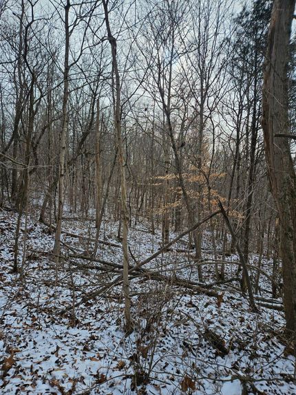 Ranch Property in Noble County, Ohio