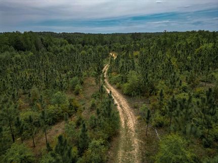 Ranch Property in Webster County, Georgia