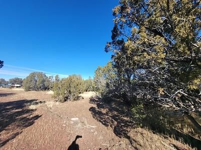 Property for sale in Apache County, Arizona