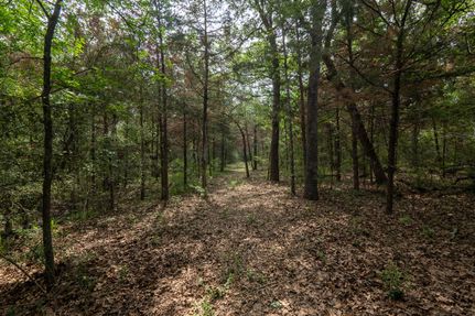Farm Property in Brazos County, Texas