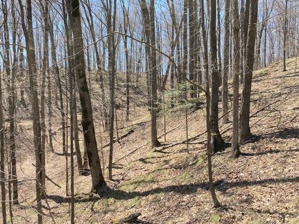 Property in Lincoln County, Wisconsin