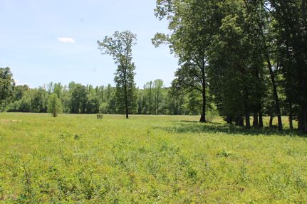 Farm Property in DeSoto County, Mississippi