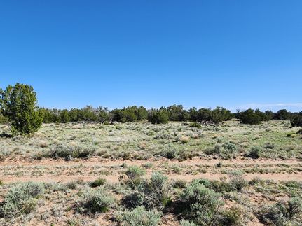Recreational Property in Apache County, Arizona