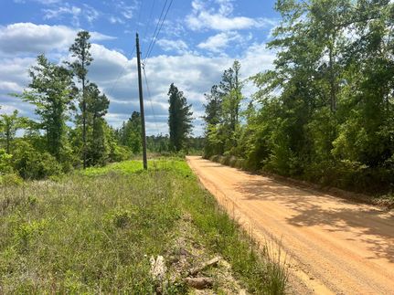 Farm Property in Wayne County, Mississippi
