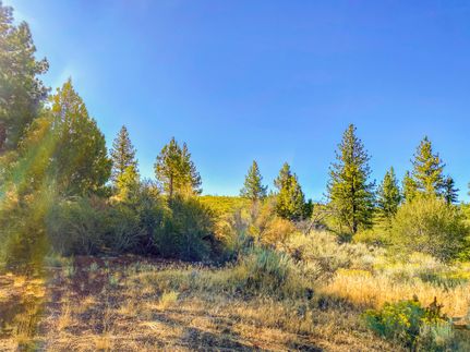 Farm Property for sale in Modoc County, California