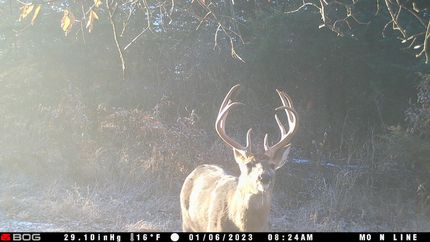 Ranch Property in Mercer County, Missouri