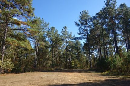 Farm Property in Fairfield County, South Carolina