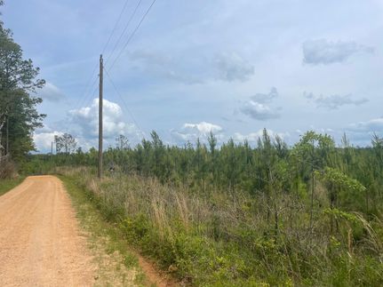 Timberland Property in Chambers County, Alabama