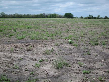 Farm Property in Wayne County, Iowa
