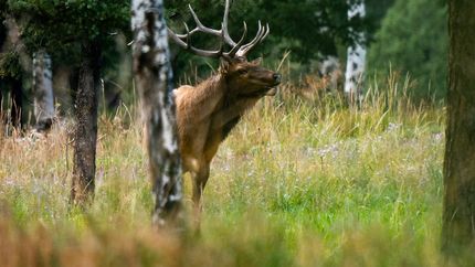 Property in Jefferson County, Colorado