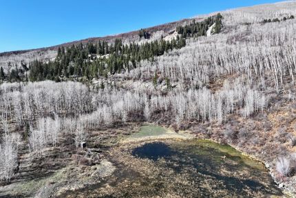 Commercial Property in Delta County, Colorado