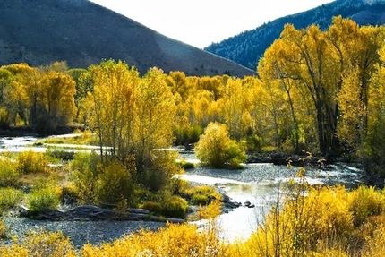 Recreational Property in Fremont County, Idaho