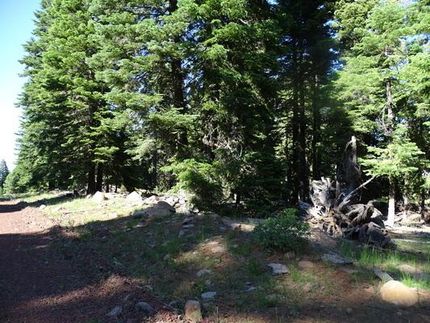 Property for sale in Modoc County, California