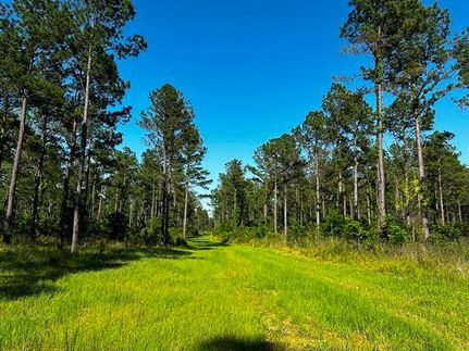 Farm Property in Marengo County, Alabama