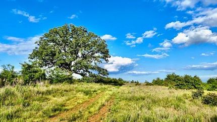 Ranch Property in Oglethorpe County, Georgia