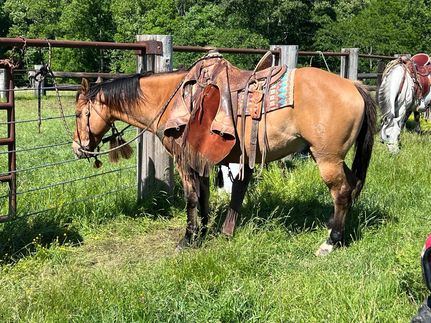 Ranch Property in Johnson County, Illinois