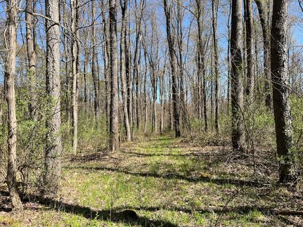 Recreational Property in Warren County, Pennsylvania