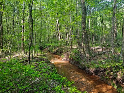Recreational Property for sale in Marion County, Alabama