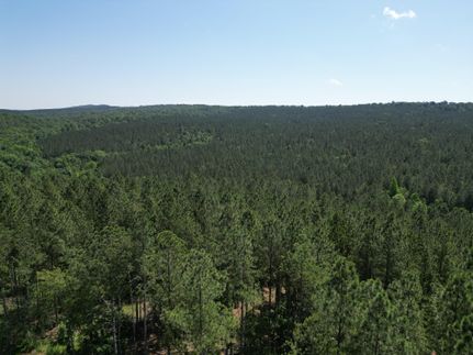 Farm Property in DeKalb County, Alabama