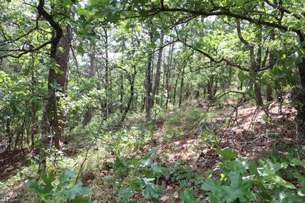 Recreational Property in Le Flore County, Oklahoma