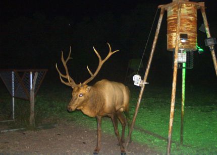 Farm Property in Edwards County, Texas