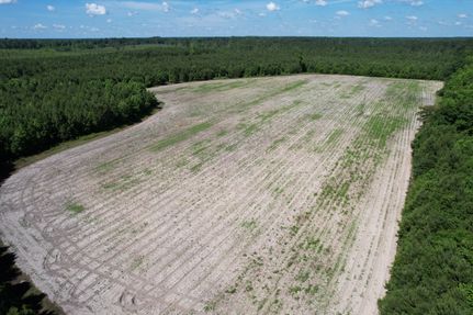 Farm Property in Florence County, South Carolina
