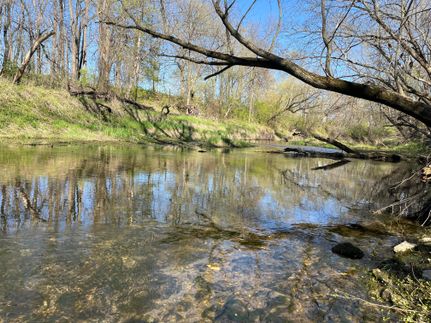 Hunting Land in Bremer County, Iowa