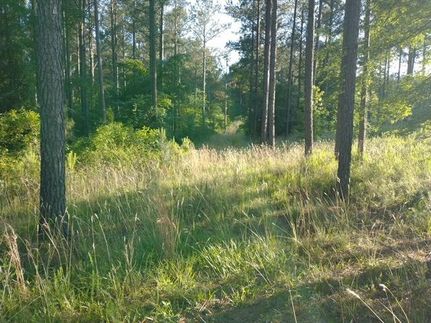 Farm Property in Wilkes County, Georgia