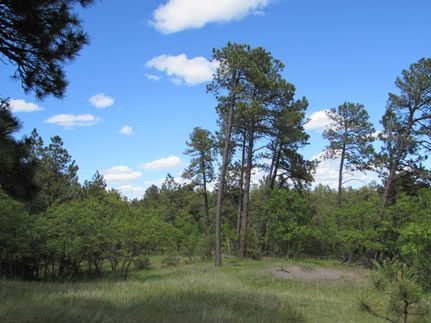 Residential Property in Crook County, Wyoming