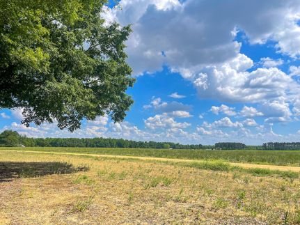 Ranch Property in Dillon County, South Carolina