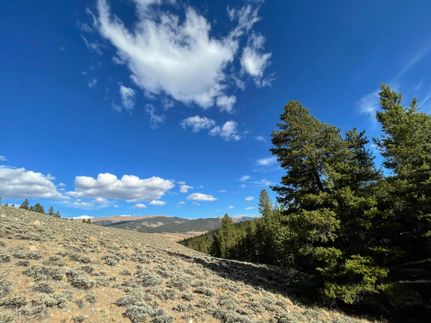 Recreational Property for sale in Lake County, Colorado