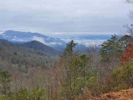 Undeveloped Land for sale in Jackson County, North Carolina