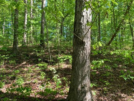 Property in Etowah County, Alabama