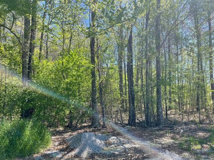 Property for sale in Rankin County, Mississippi