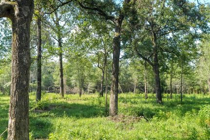 Undeveloped Land in Angelina County, Texas