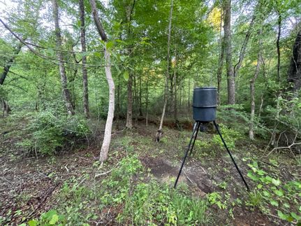 Property in Chattahoochee County, Georgia