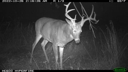 Recreational Property in Lincoln County, Missouri