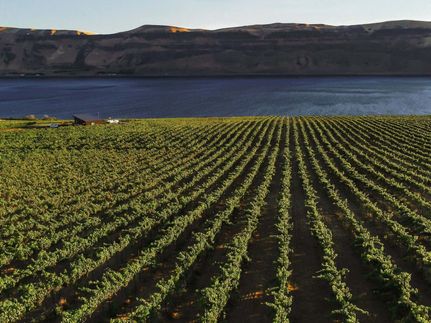 Property in Klickitat County, Washington