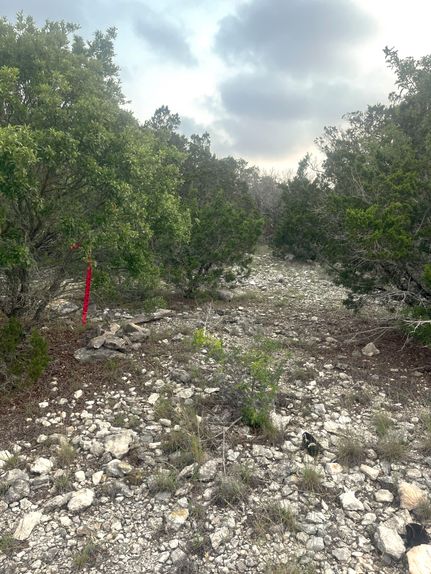 Undeveloped Land for sale in Real County, Texas