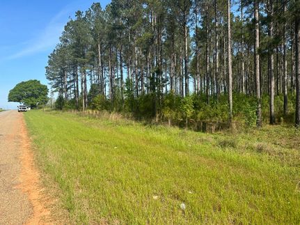 Undeveloped Land in Geneva County, Alabama