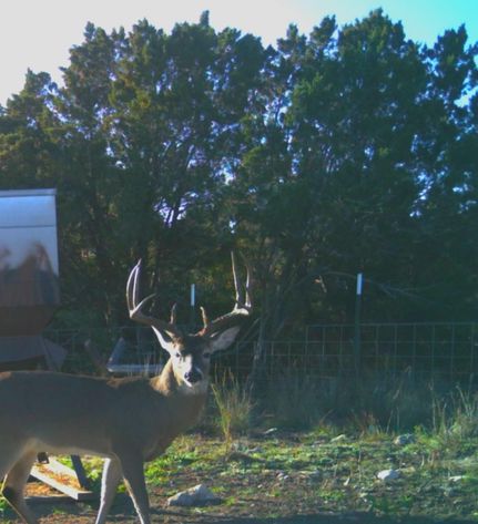 Farm Property in Edwards County, Texas