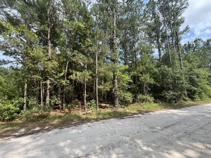 Ranch Property for sale in Hampton County, South Carolina