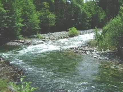 Timberland Property in Park County, Wyoming