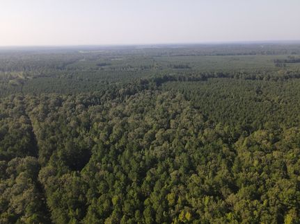 Residential Property in Union County, Arkansas